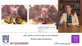 Лекция: &laquo;QLB &mdash; делаю, но что-то идет не так! Помогите разобраться!&raquo;, часть 2
