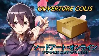 COLIS spécial LIGHT NOVEL - Sword Art Online