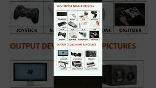 Input device and output device name