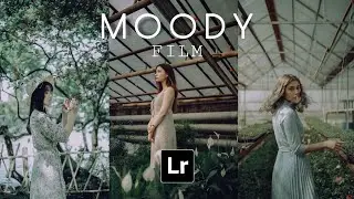 MOODY FILM preset lightroom | Moody preset | Free lightroom presets #66