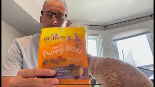 Wellness Soft Puppy Bites - Grain Free Dog Treats