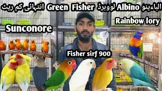 Canal birds market updates 2023 ll Bird market in Lahore ll