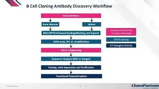 Discovery of Potent anti-PD-L1 Antibodies | High-Throughput Antibody Screening | LSA Platform