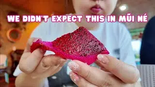 Mũi N&eacute; Vietnam Travel Vlog | 🌊 Sand Dunes, Seafood, Beach Views & Dragonfruit 🐉