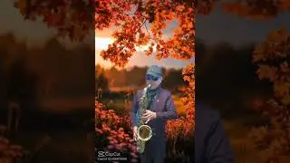 # 보라빗엽서 (설운도)#테너색소폰연주 