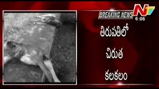 Tiger Wandering At Tirupati SV University