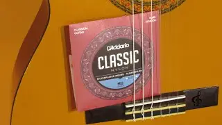 Cuerdas D'Addario Classic para Guitarra