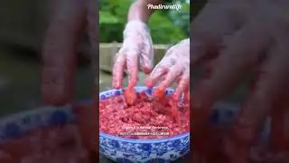 Chinese Bayberry Preserve Recipe | Wild Fruit to Sweet Delight#shortfeed #shortvideo #food