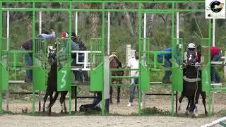 ZAPATA vs CATRIN  - CARRIL EL PAPALOTE