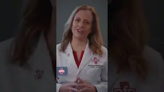 What To Expect At AFC Urgent Care Havertown #UrgentCare #Havertown #AFCUrgentCare