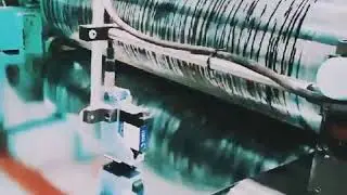#PPGI#metal#steel#coil#sheet#factory#manufacturer