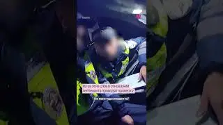 Разговор сотрудника ГИБДД и &laquo;свошника&raquo;