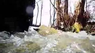 Szene am Bach