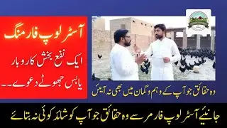 Australorp Farming in Pakistan||Australorp Farming Business In Pakistan|| Australorp Chicken Farming