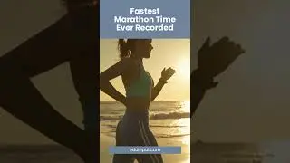 Fastest Marathon Time Ever Recorded#stats #sports #sportsstats #tennis #sportsfacts
