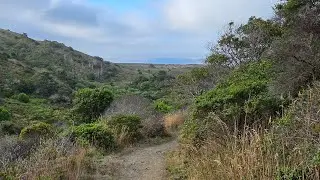 Laguna Trail to Sculptured Beach ~ Point Reyes National Seashore 