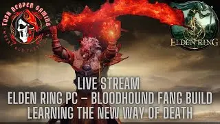 Elden Ring PC &ndash; Bloodhound Fang Build - Continuing the Story