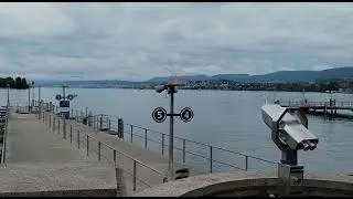 🇨🇭Birdwatcher's Paradise: Zurich's Waterfront Elegance 🇨🇭