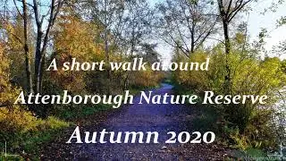 A short walk at a local nature reserve ,