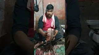 🔥😱Excellent Cutting Skills |Popular Big Silver Carp Fish Cutting Skills 😱😱 #shorts