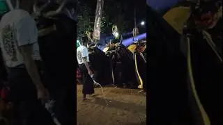 SATRIO LEMBU GUMARANG On Javanese TV | #short #seni #budaya #carnaval #sports #trip #subscribe