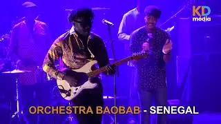 Orchestra Baobab à Bordeaux