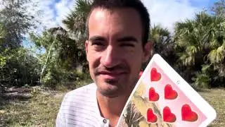 Cleansing Your Energy & Reading Your Fairy Tarot Cards (Old Fashioned ASMR)