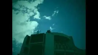 Viola Conti - Santuario - Admiral Point Centre