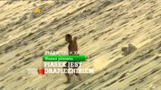 Planete.pl Polska nowa oprawa antenowa Listopad 2010