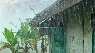 This Rain Sound Will Relax You Instantly 😌