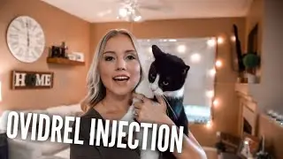 CLOMID OVIDREL INJECTION | My Infertility Journey - Clomid Round 1