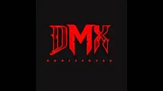 DMX - Cold World