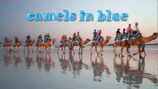 Broome Camel Safaris