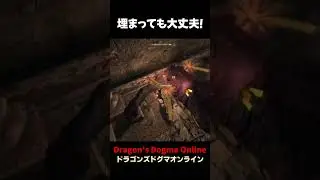 【DDON】頭が埋まっても大丈夫！  #Shorts