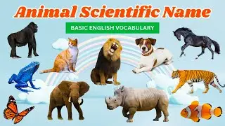 Animal Scientific Name - Scientific Name Of All Animals - Animals And Their Scientific Names
