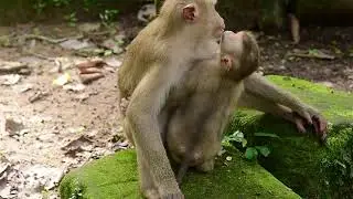 Mama's LOVE and CARE for Her KID