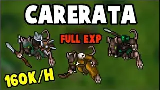 Tibia | DONDE COMENZAR A SUBIR UN PALADIN NIVEL 8 (PREMIUM ACCOUNT) | ElMoy