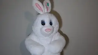 Easter Bunny Costume