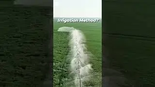Rain gun sprinkler irrigation system #irrigation