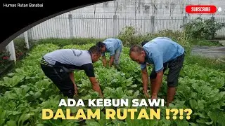 WARGA BINAAN RUTAN BARABAI MAKIN PRODUKTIF