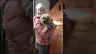 Pawfect Life Rescue Transport from Texas to Massachusetts