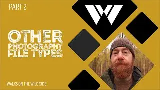 Полное руководство по типам файлов в фотографии: часть 2 – другое