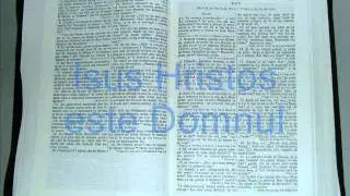 8 - RUT - Vechiul Testament - Biblia Audio Romana