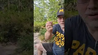 #stoplittering