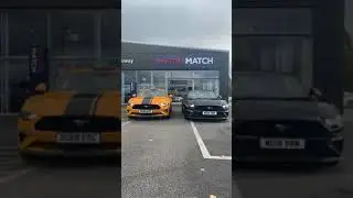 Magnificent Mustangs - Out in Style | #Shorts