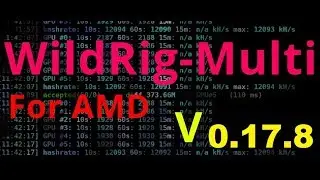Новый майнер wildrig multi  0.17.8 для amd   NEW miner wildrig multi  0.17.8 for amd