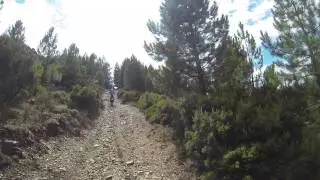 Chregi