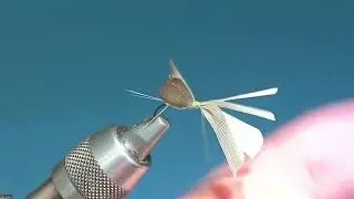 East meets West - 24 April 2024 - No Hackle Dun and a Quill Body Compara Dun