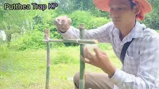 Ancient underground traps for catching wild rabbits using bamboo and deep pits