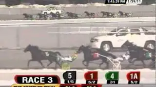 2011 Complex Final - St Elmo Hero & Tim Tetrick